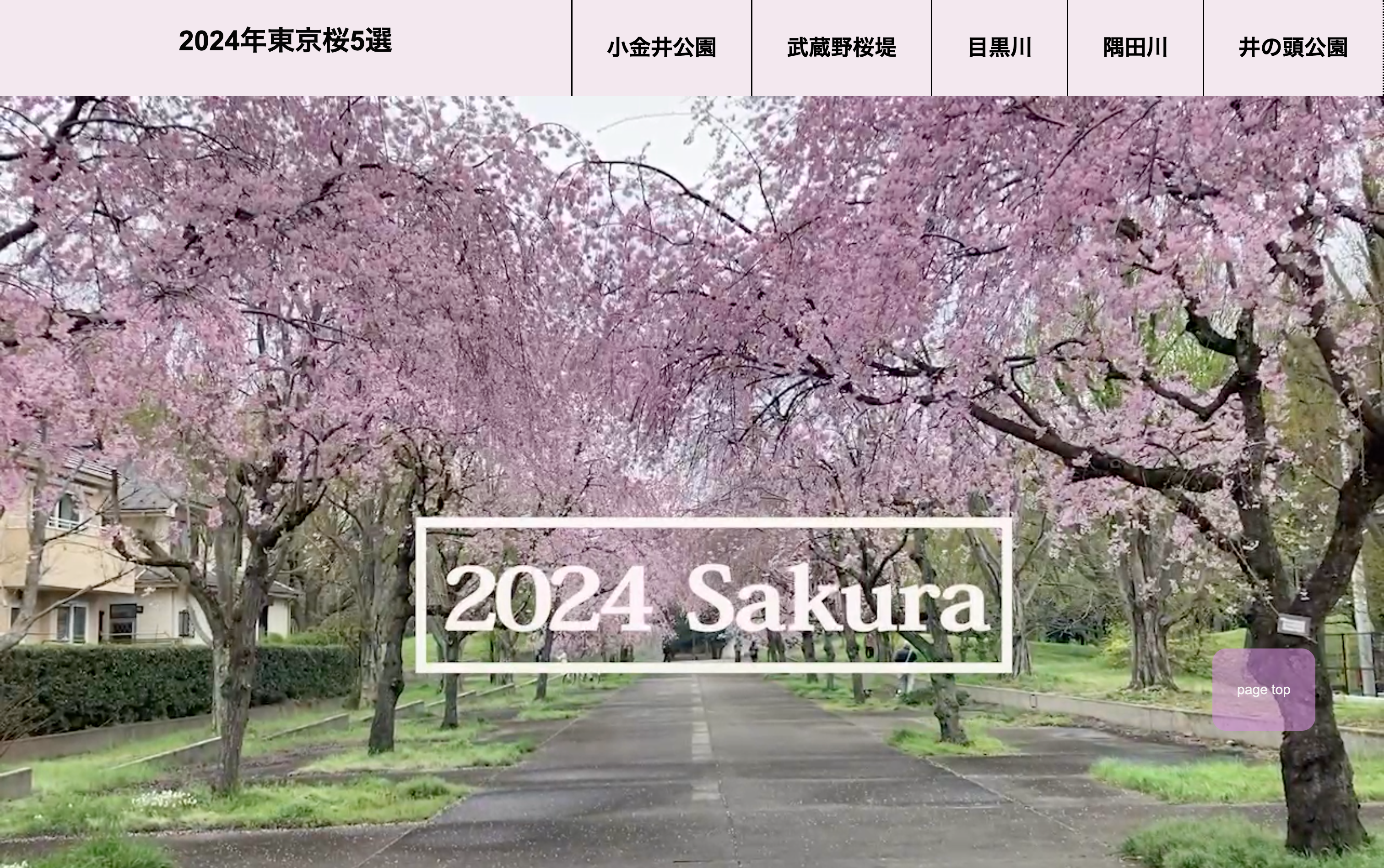 2024年東京桜5選サイト
